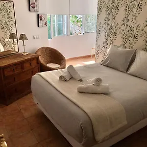 https://nueva-andalucia-banus.1costadelsol.com